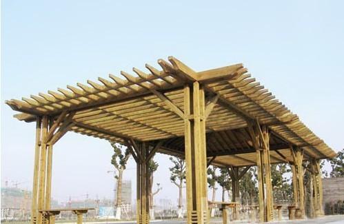 ��ɳ����ľ,��ɳ����ľ��,��ɳ����ľ����,��ɳ����ľ��˾,��ɳ����ľ,���Ϸ���ľ��,���Ϸ���ľ,��ɳ����ľ����,��ɳ����ľ��ͤ,��ɳ����ľ�ļ������,��ɳ����ľ����,��ɳ����ľ,��ɳ����ľ����,��ɳ����ľ����,��ɳ����ľľ��,��ɳ����ľ�۸�