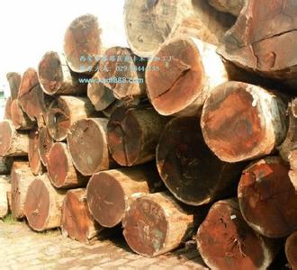 ����ľ��Ʒ,��ɳ����ľ��,��ɳ����ľ����,��ɳ����ľ��˾,��ɳ����ľ,���Ϸ���ľ��,���Ϸ���ľ,��ɳ����ľ����,��ɳ����ľ��ͤ,��ɳ����ľ�ļ������,��ɳ����ľ����,��ɳ����ľ,��ɳ����ľ����,��ɳ����ľ����,��ɳ����ľľ��,��ɳ����ľ�۸�